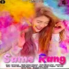 About SAME RANG Song